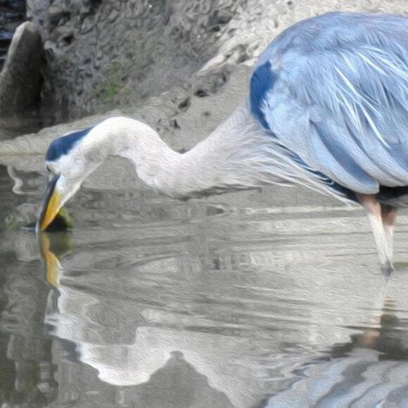 8x8 Framed Great Blue Heron Photography Bird Oil Painting Art Print - Picture 2 of 6